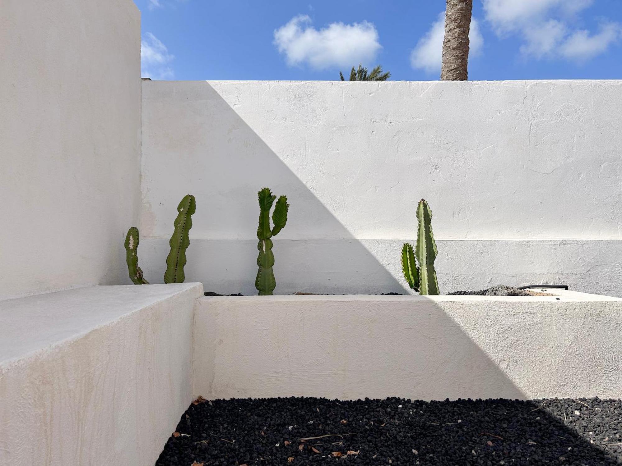 House Boho Palm With Private Heated Pool And Garden, 3 Bedrooms, Wi-Fi Corralejo Exteriör bild